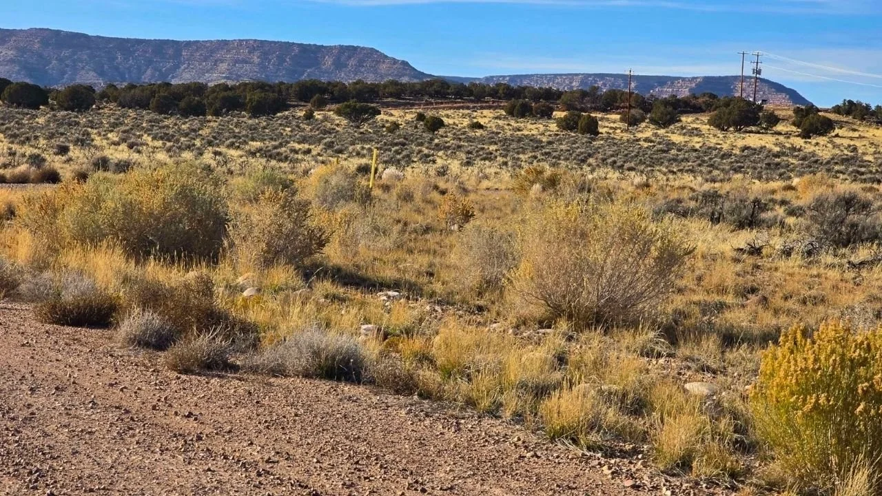 Utah landscape featuring rugged mountains, sparse vegetation, and open land, representing potential land for sale by Mountains West Ranches in Duchesne County.
