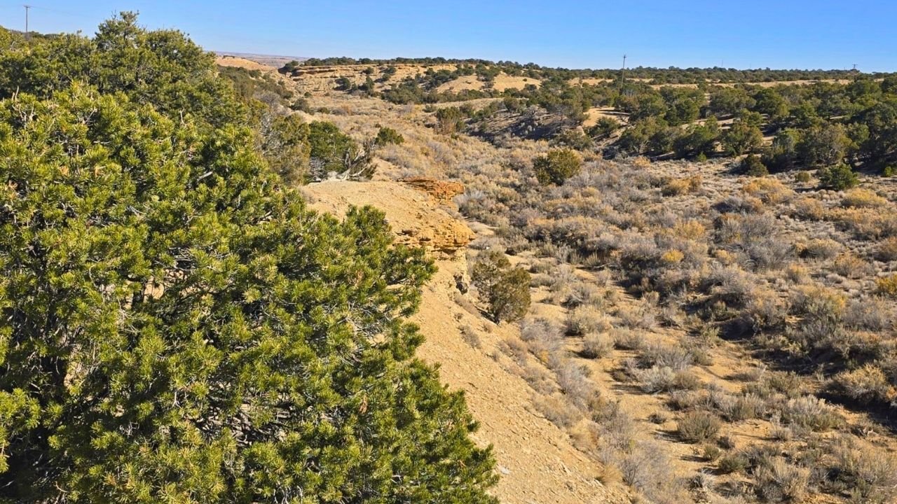 Rugged landscape of rural land featuring sparse vegetation, rocky outcrops, and open terrain, illustrating the essence of rural living with a focus on natural beauty and privacy.