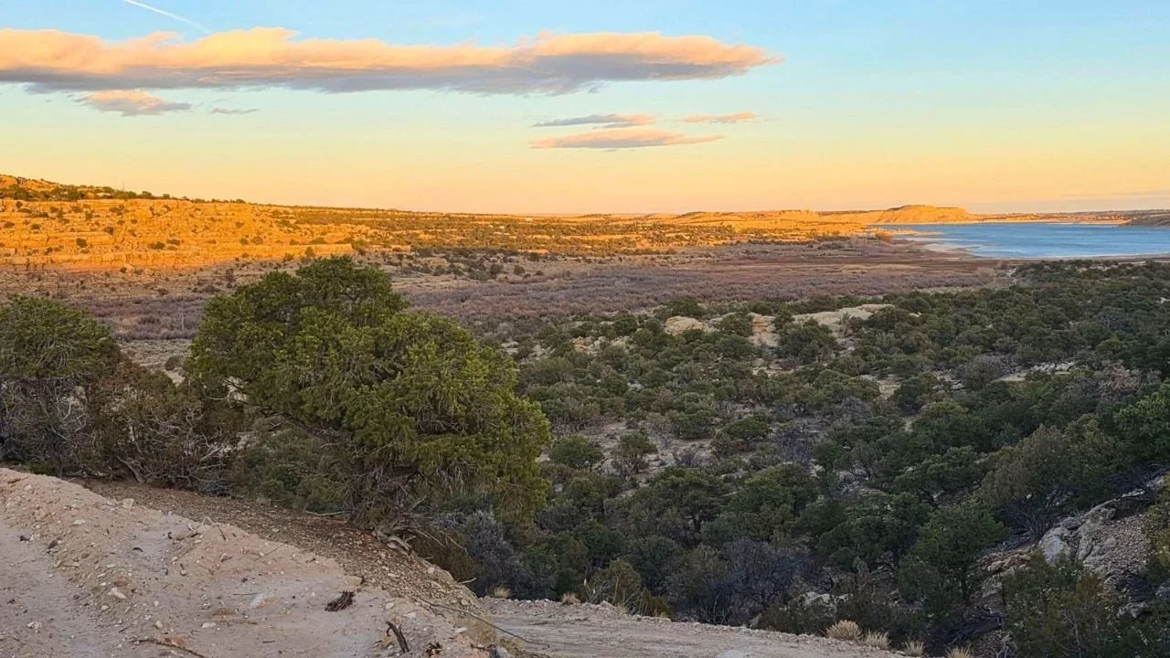 Scenic view of Coyote Hills North, Utah, showcasing rolling hills, dense vegetation, and a distant lake, emphasizing off-grid living and recreational land opportunities.