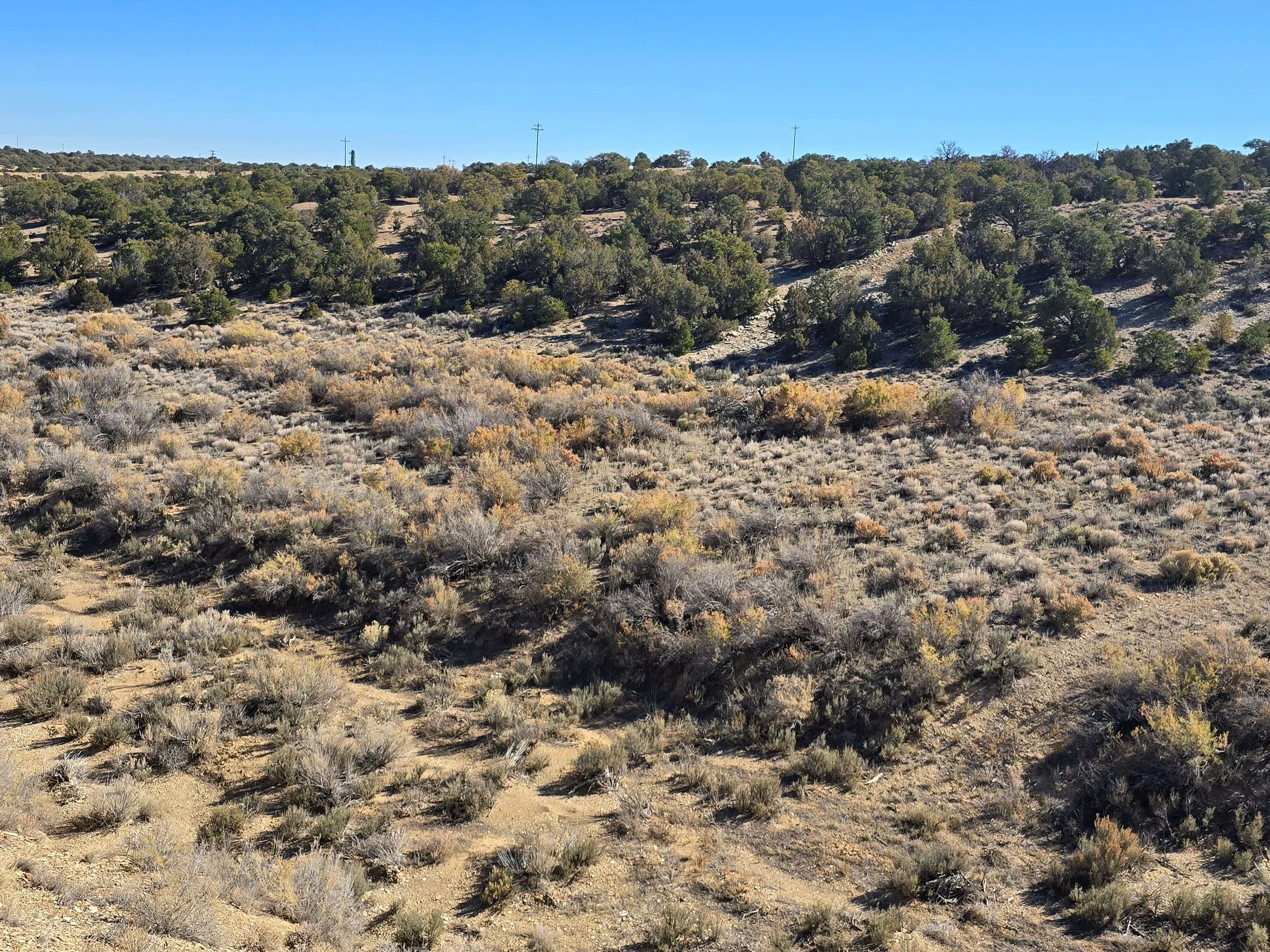 Open desert landscape in Coyote Hills North featuring junipers, rock formations, and native vegetation, highlighting a 5-acre off-grid property for sale by MWR.