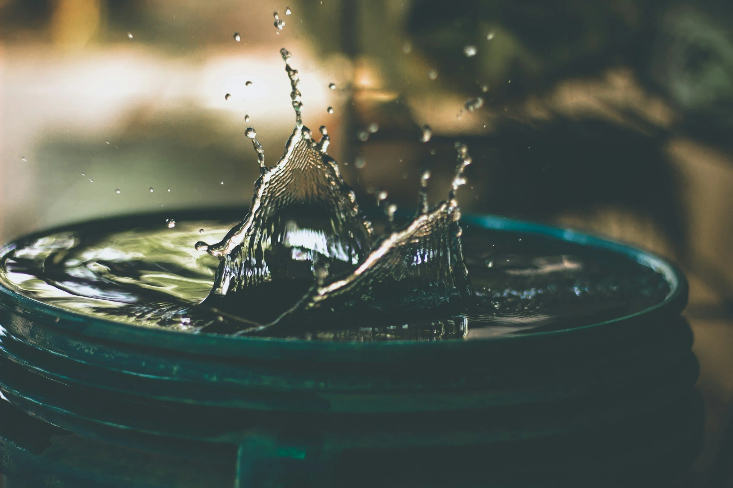 bucket of water