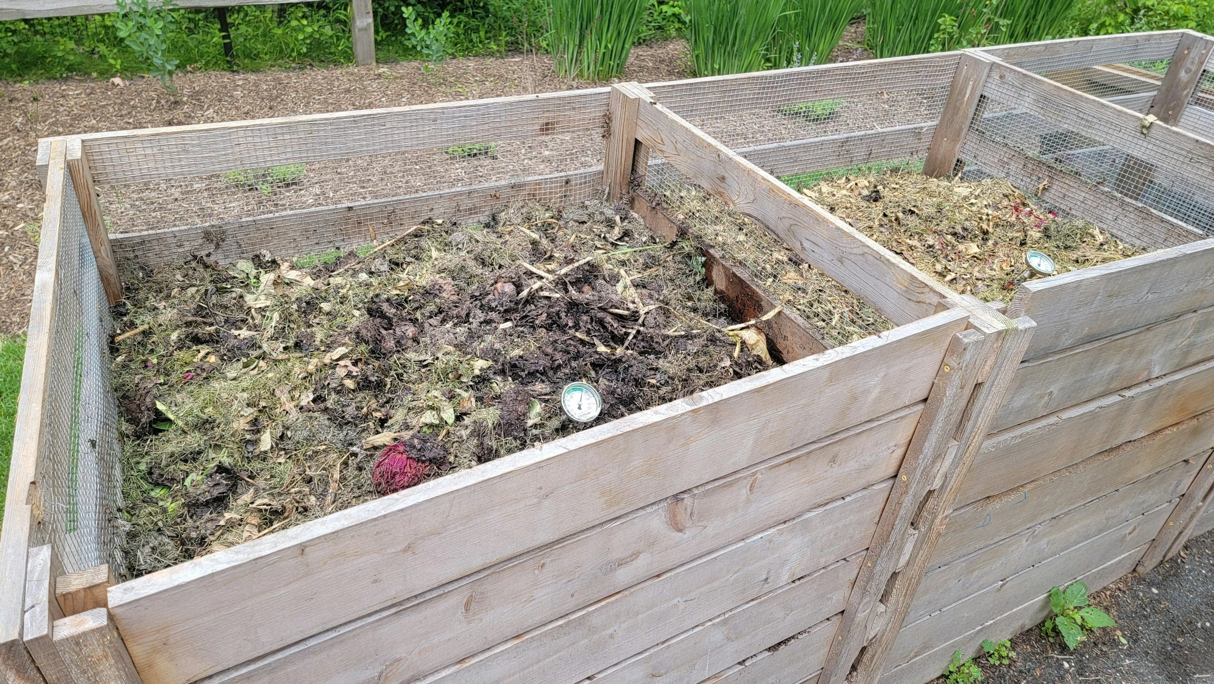composting bins.jpg
