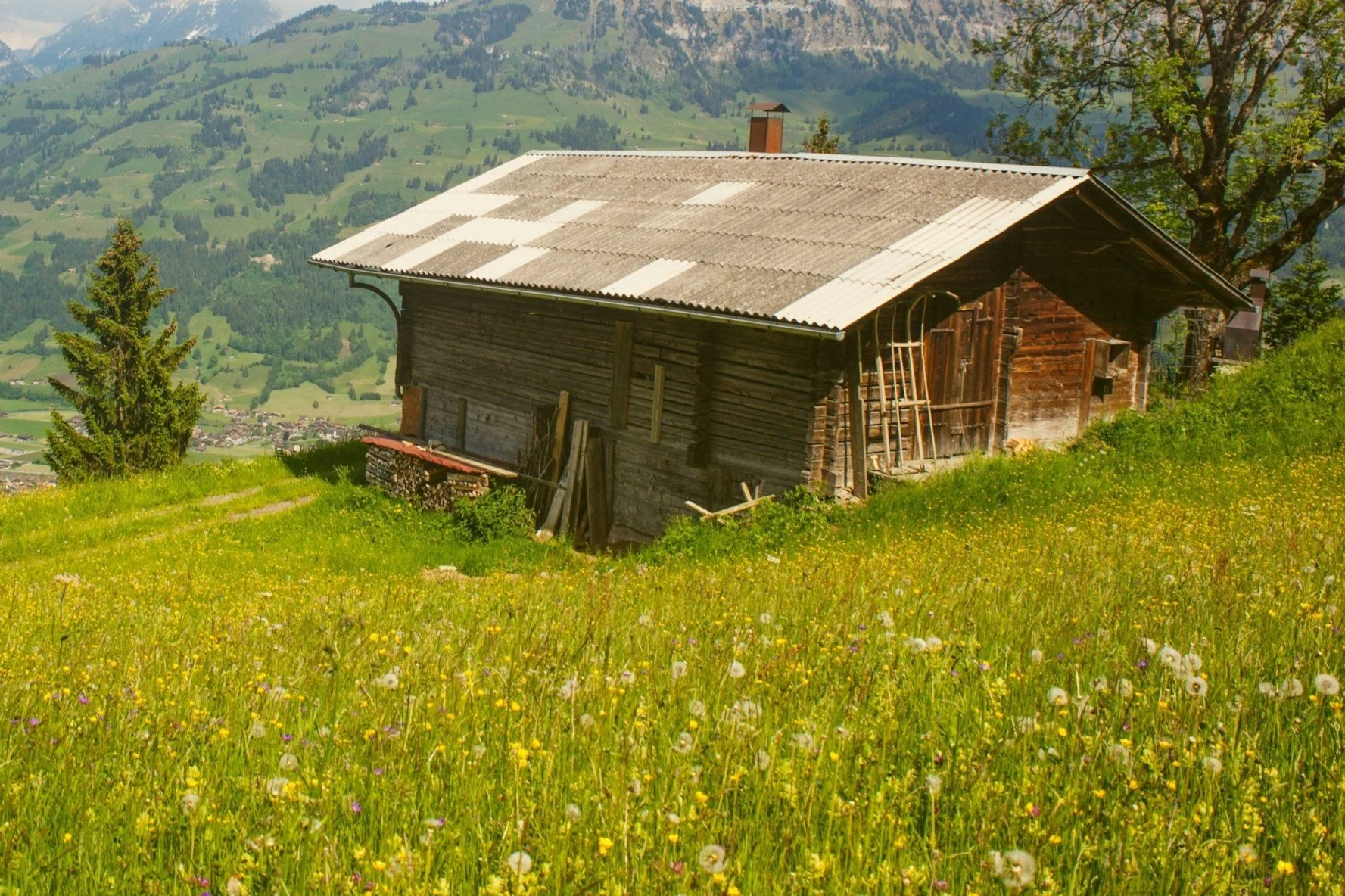 Off Grid Cabin.jpg