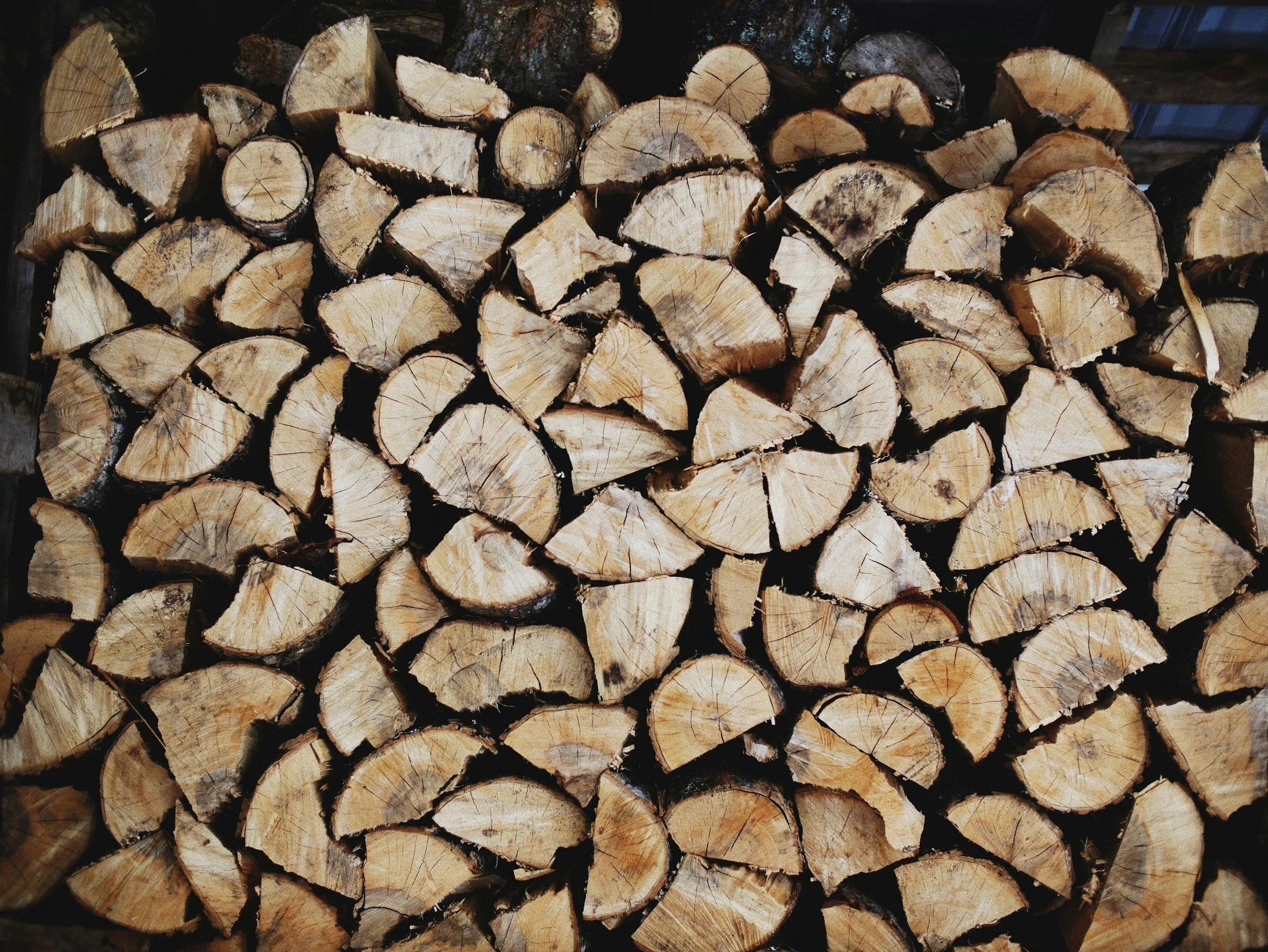 stored firewood