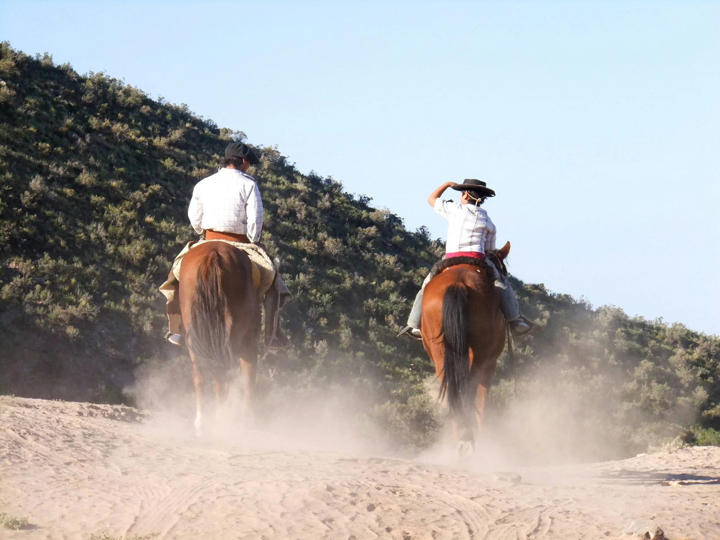 cowboys