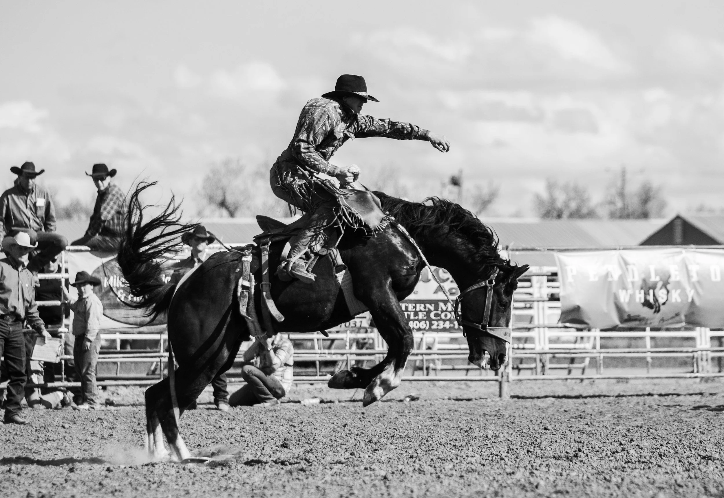 local rodeo
