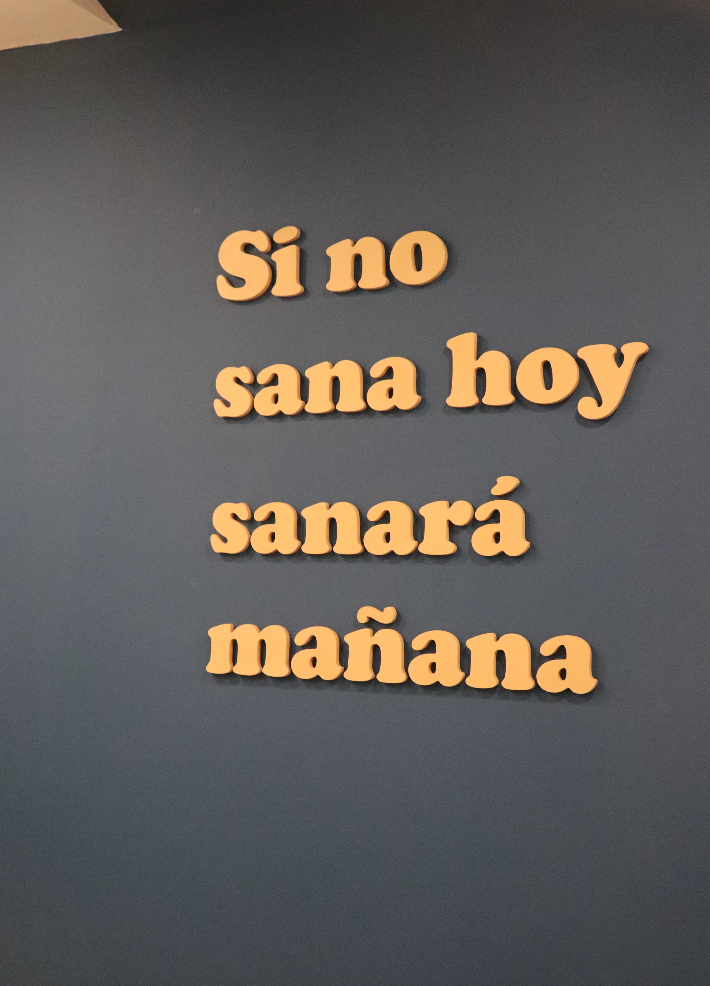 Spanish phrase on gray wall reading 'Si no sana hoy sanará mañana' in beige letters.