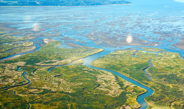 Aerial view of a green marshland with winding rivers and water channels flowing into a large body of water.