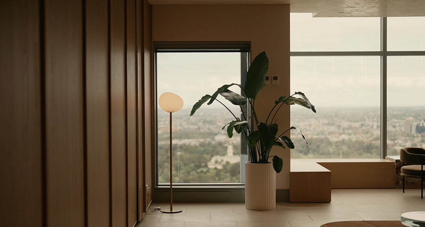 Office interior with potted plant and floor lamp by windows overlooking the city