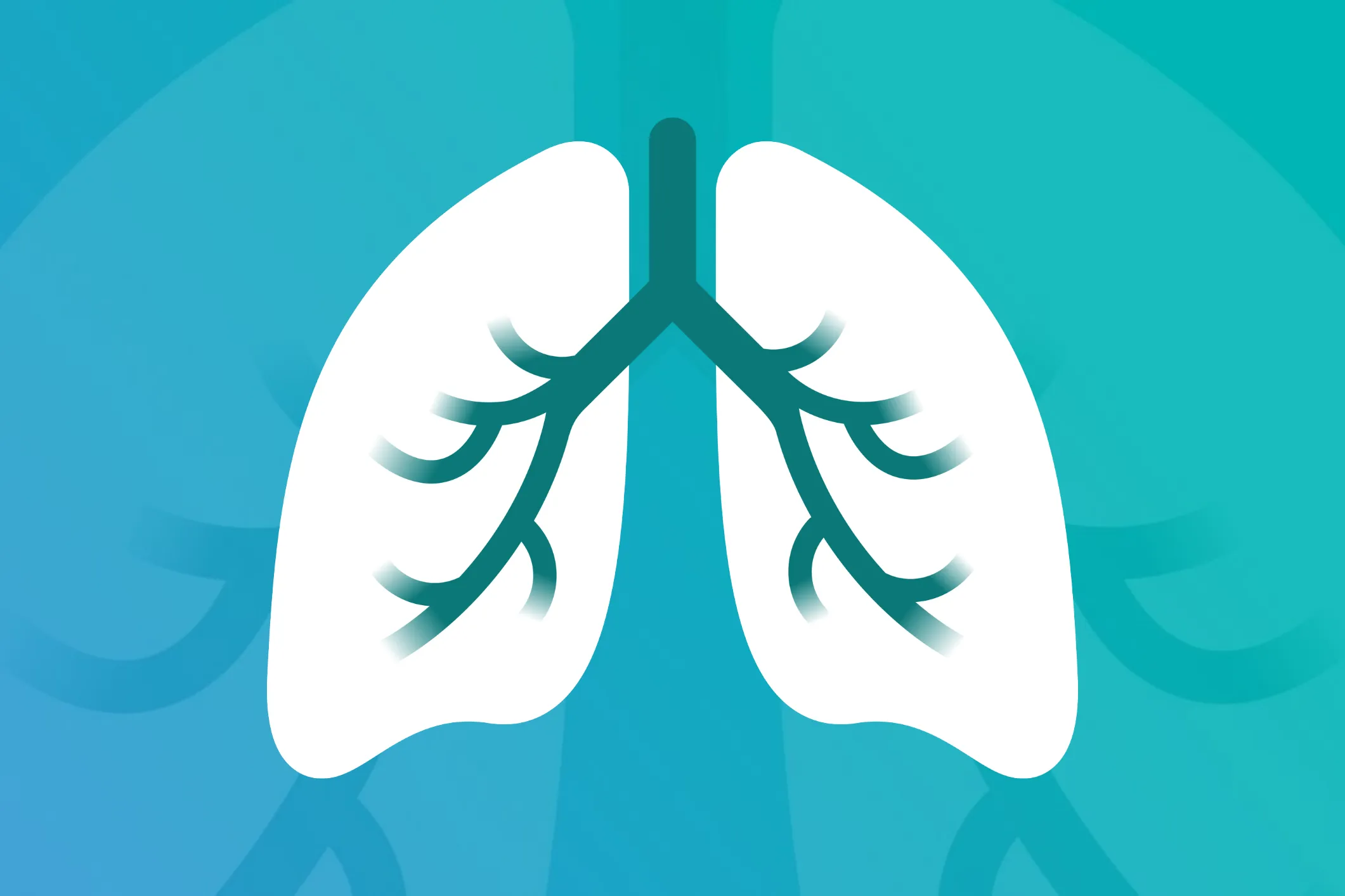 An illustration of a lung
