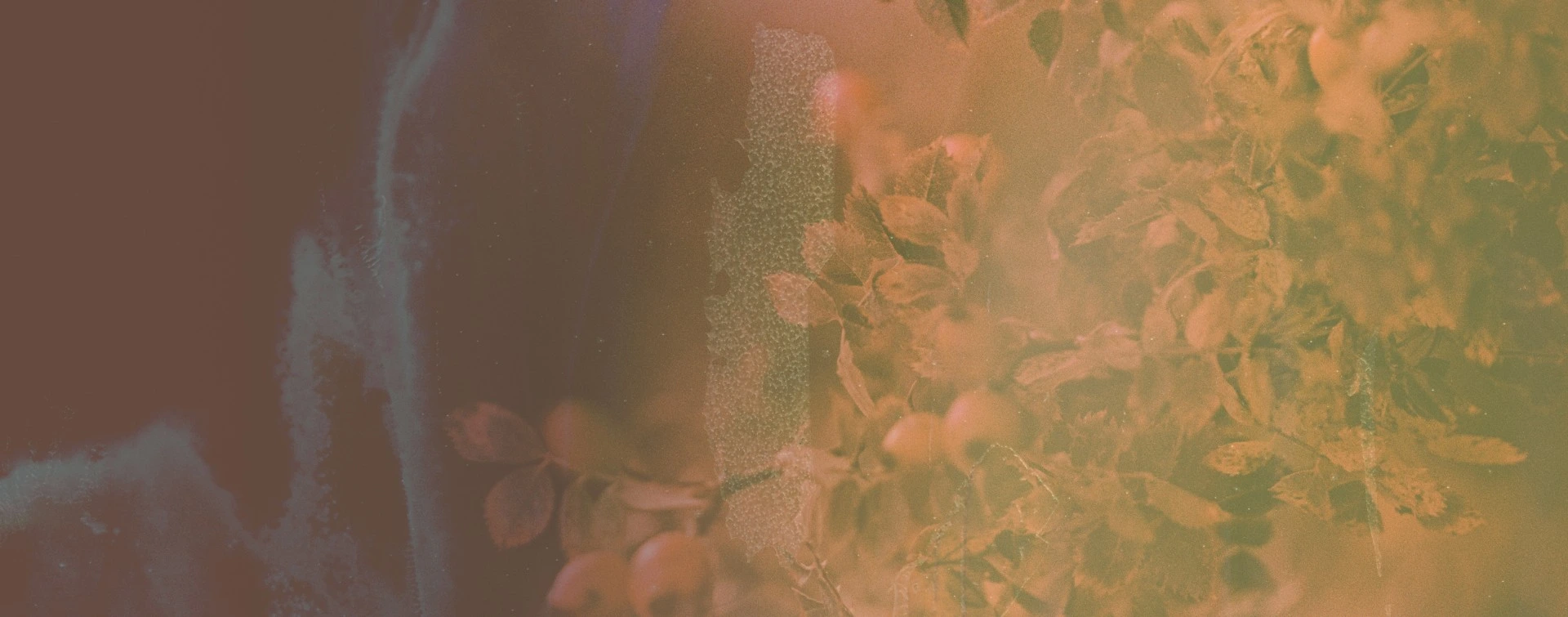 Artistic close-up of foliage with warm orange tones blending with abstract blue and brown textures.