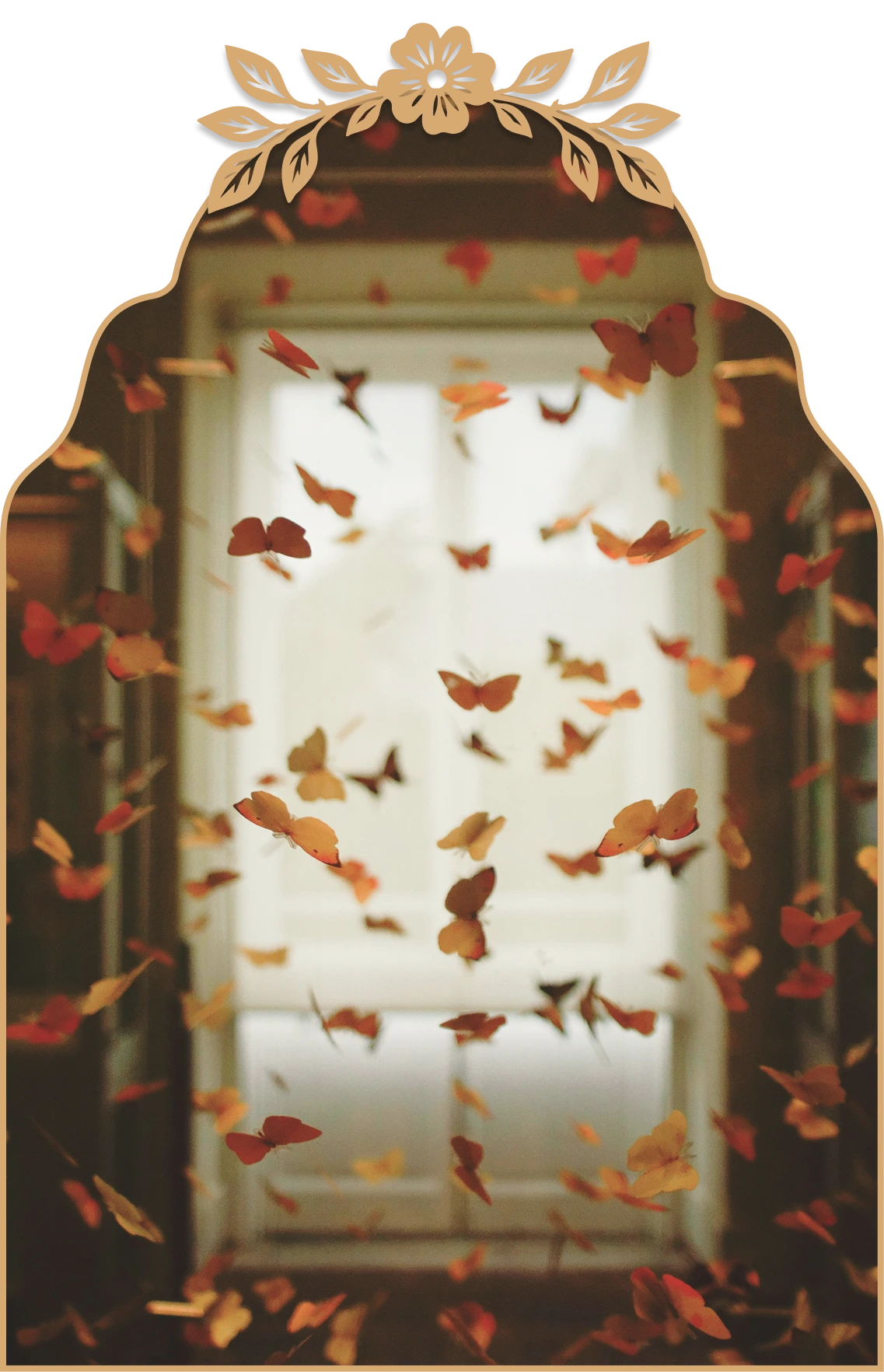 Numerous orange and red butterflies fluttering indoors in front of a bright window.