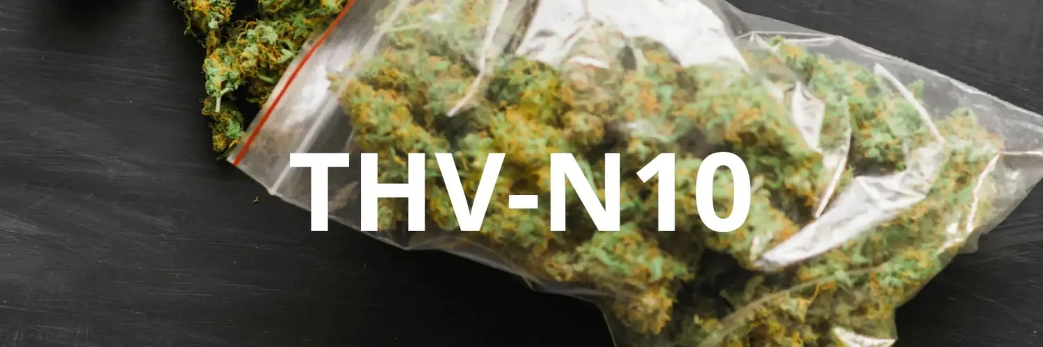 THV-N10 : Attention au test salivaire et à l'interdiction (Avis 2026)