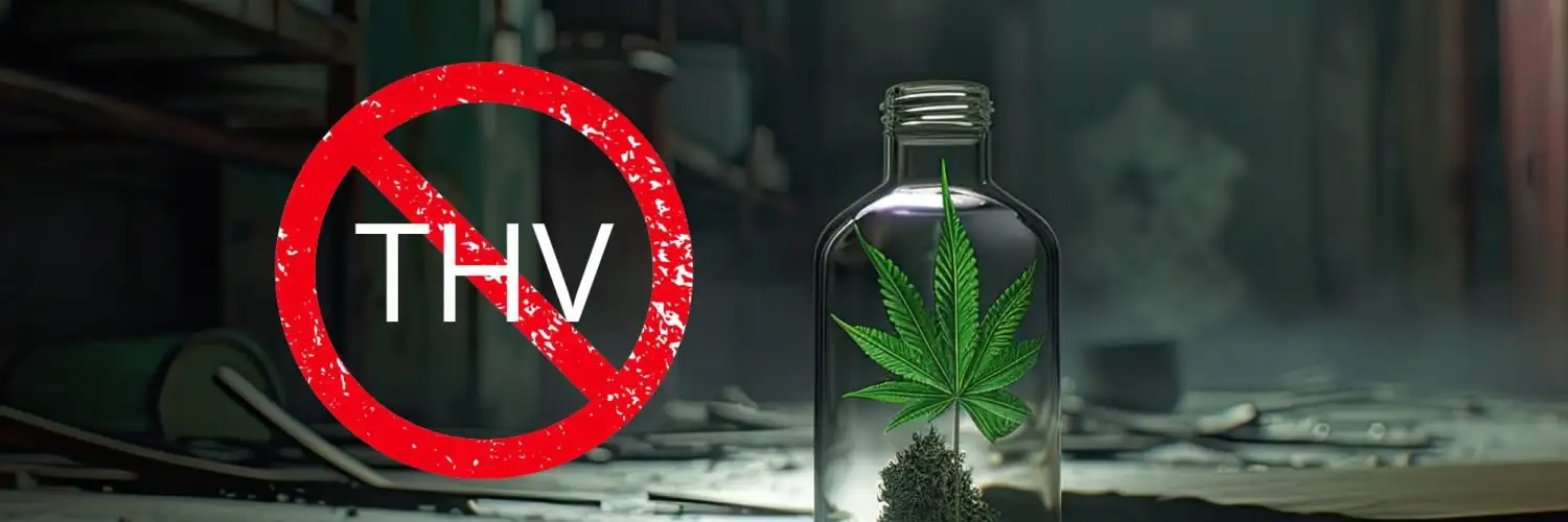 Danger du THV-N10 : La Nouvelle Molécule Proche du THC à essayer ?
