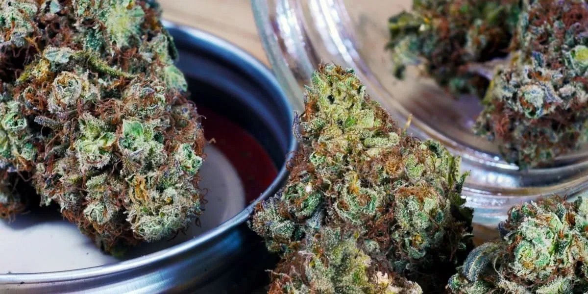 Delta 9 thc moins de 0.3% : attention au test salivaire positif