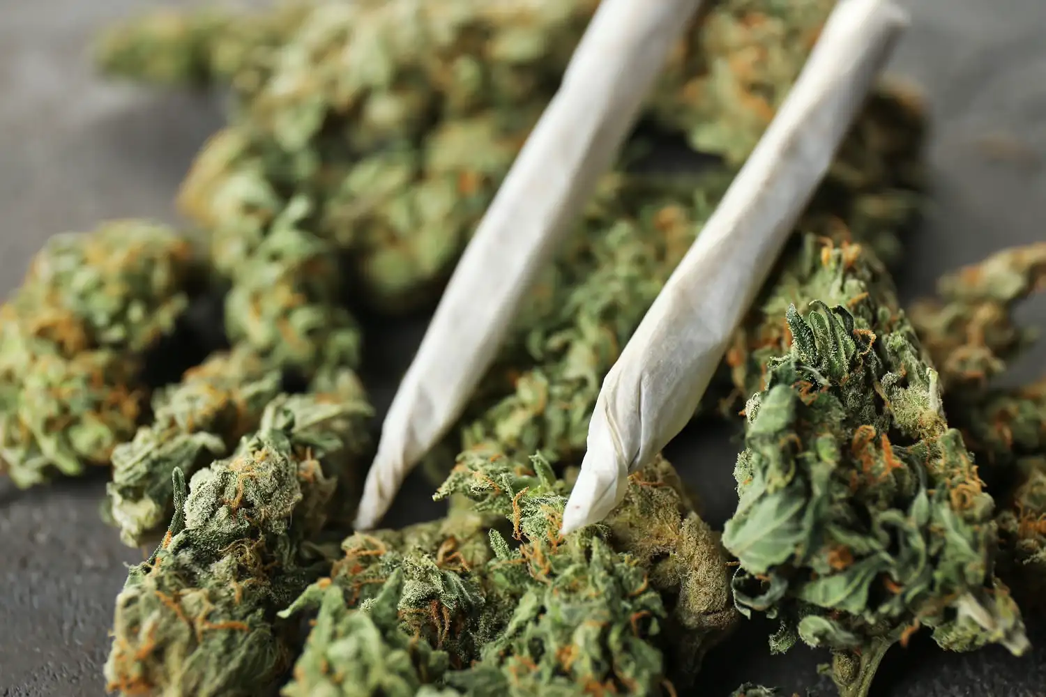 Thcx et th-x : les dangers cachés d'une montée psychoactive trop rapide