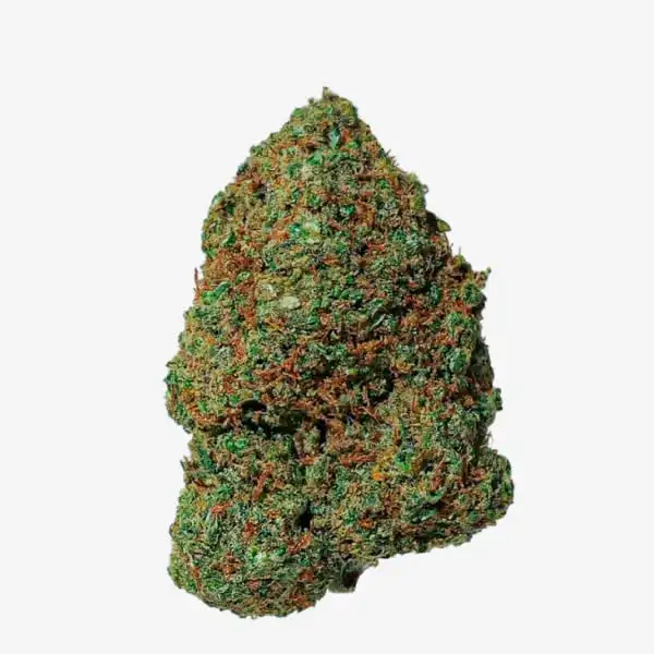 Amnesia 2.0 CBD - High Society