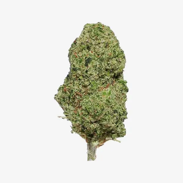 OG Kush CBD - High Society