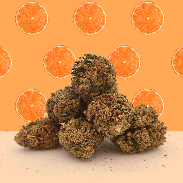 Orange Bud CBD Small Buds - Mamakana