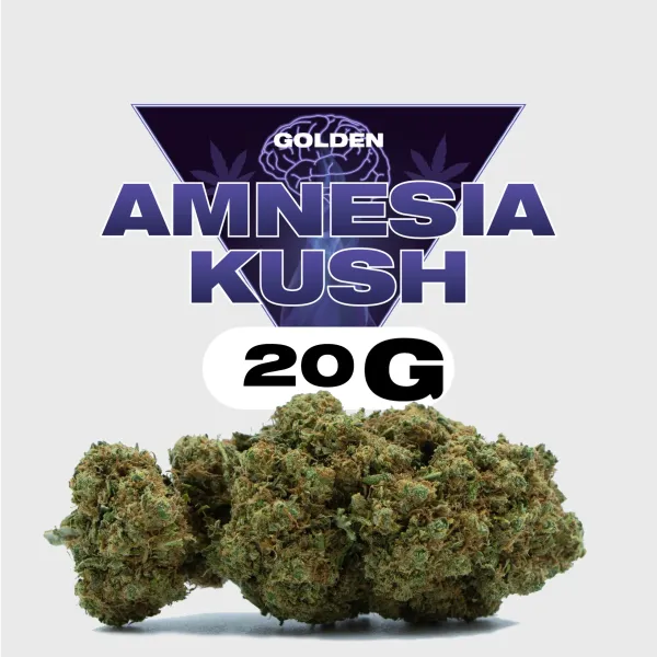 Golden CBD est une boutique française spécialisée dans les fleurs CBD Indoor et Greenhouse, avec un catalogue complet allant des résines aux infusions. La marque s'est imposée grâce à des prix compétitifs et une sélection rigoureuse de variétés à fort taux de cannabidiol.