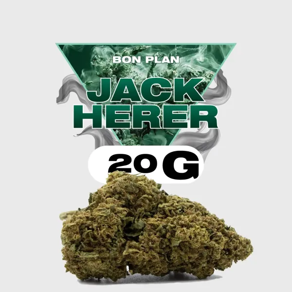 Jack Herer CBD - Golden CBD