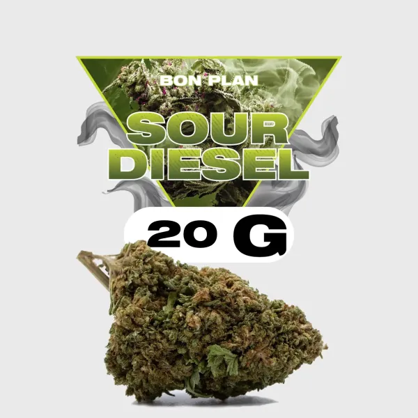 Sour Diesel CBD - Golden CBD