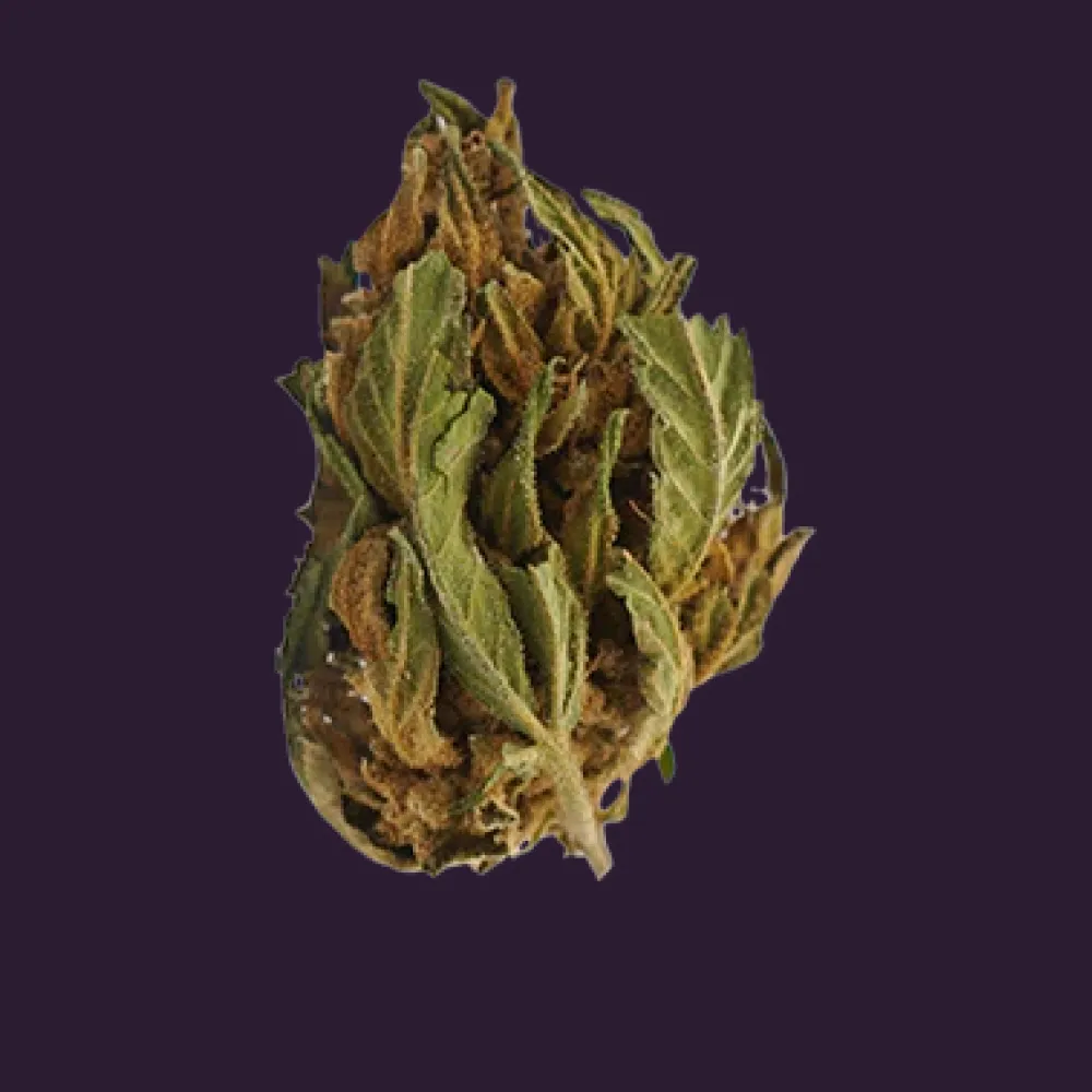 Banana CBG Small Buds - Magic CBD