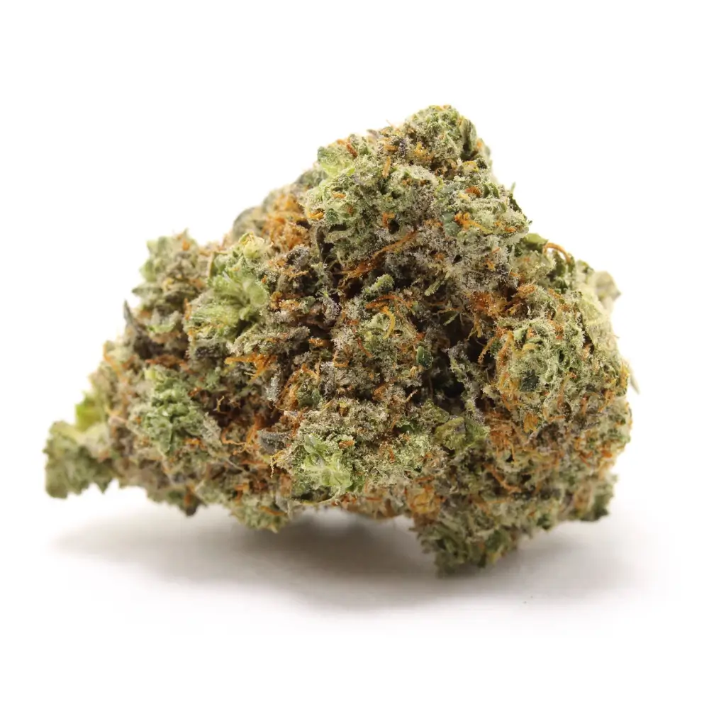 Bubble Gum CBD - BonneWeed