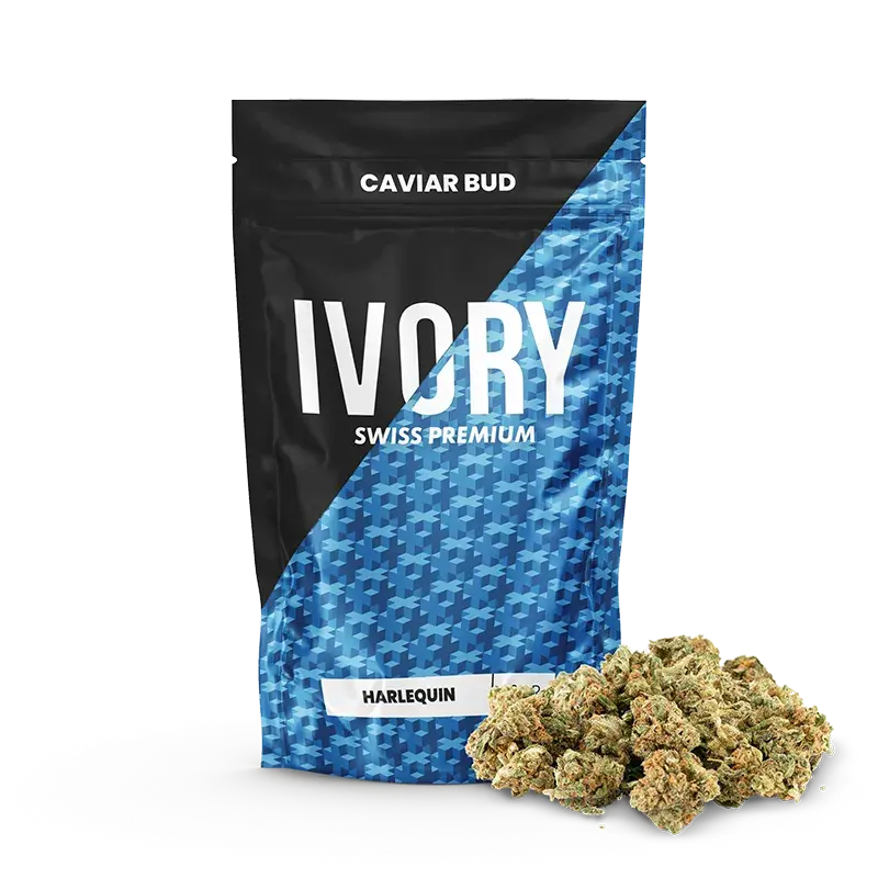 Harlequin Pops Fleur CBD 15% - Ivory Swiss