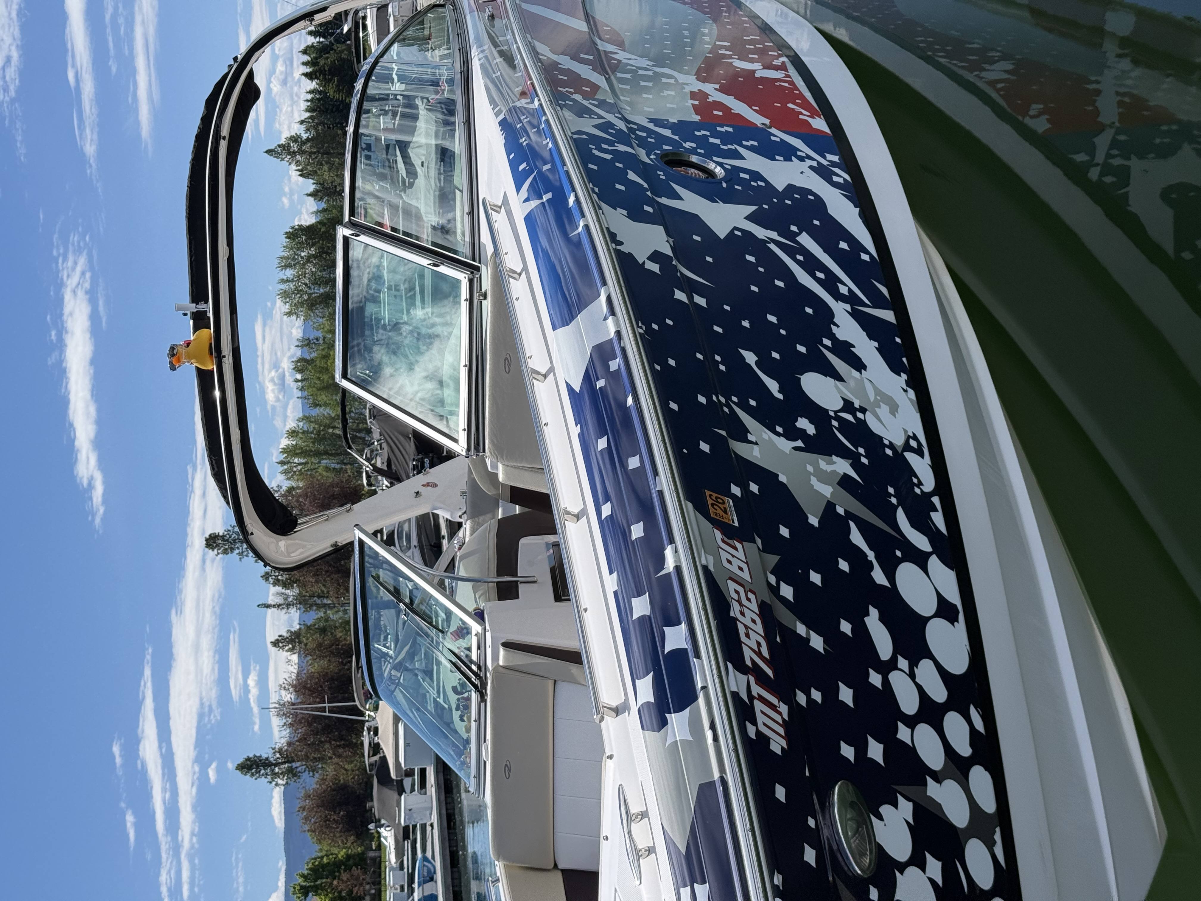 White and black motorboat docked on green water with mountains and blue sky background.