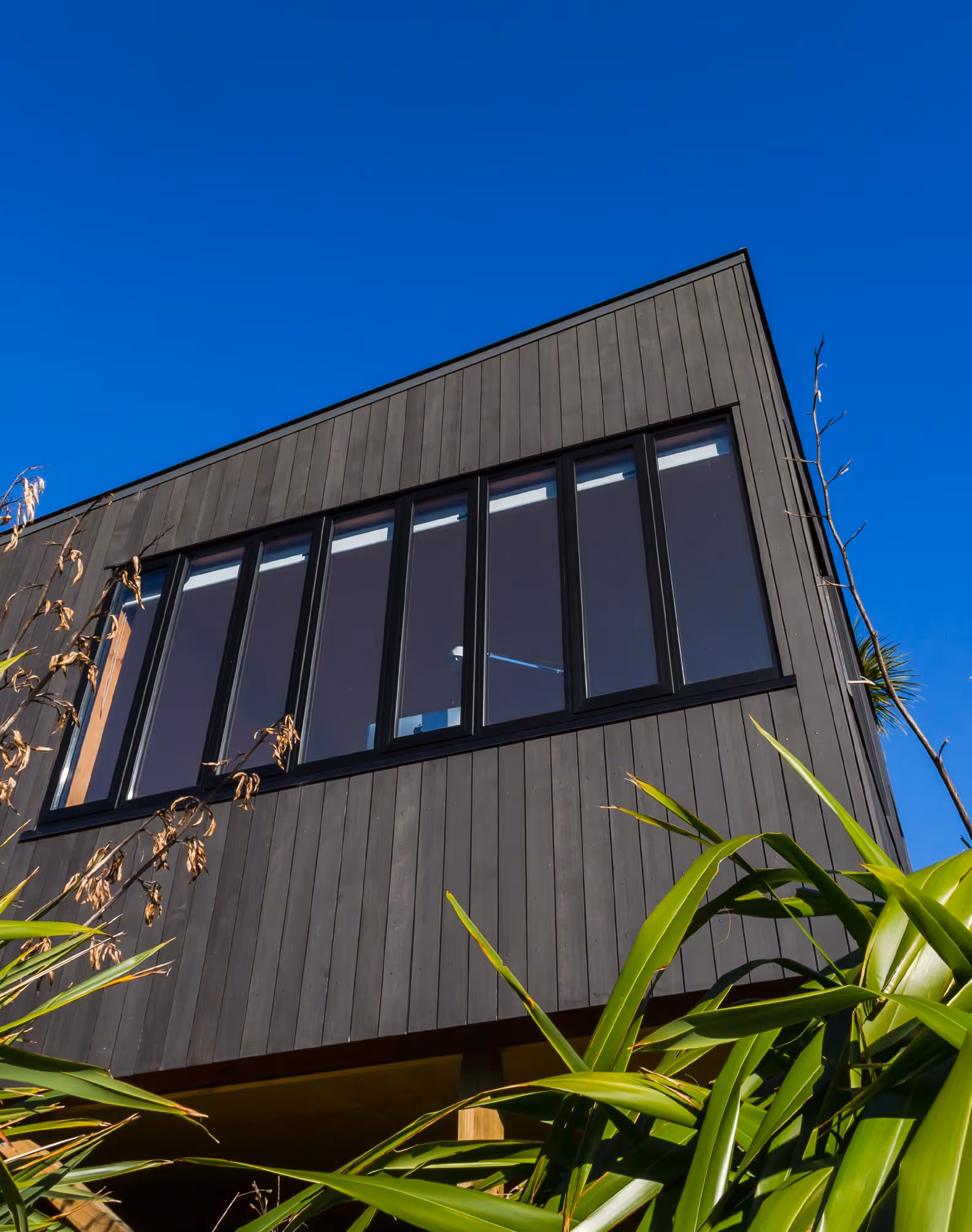looking up at Glenmorven Studios with dark cedar cladding