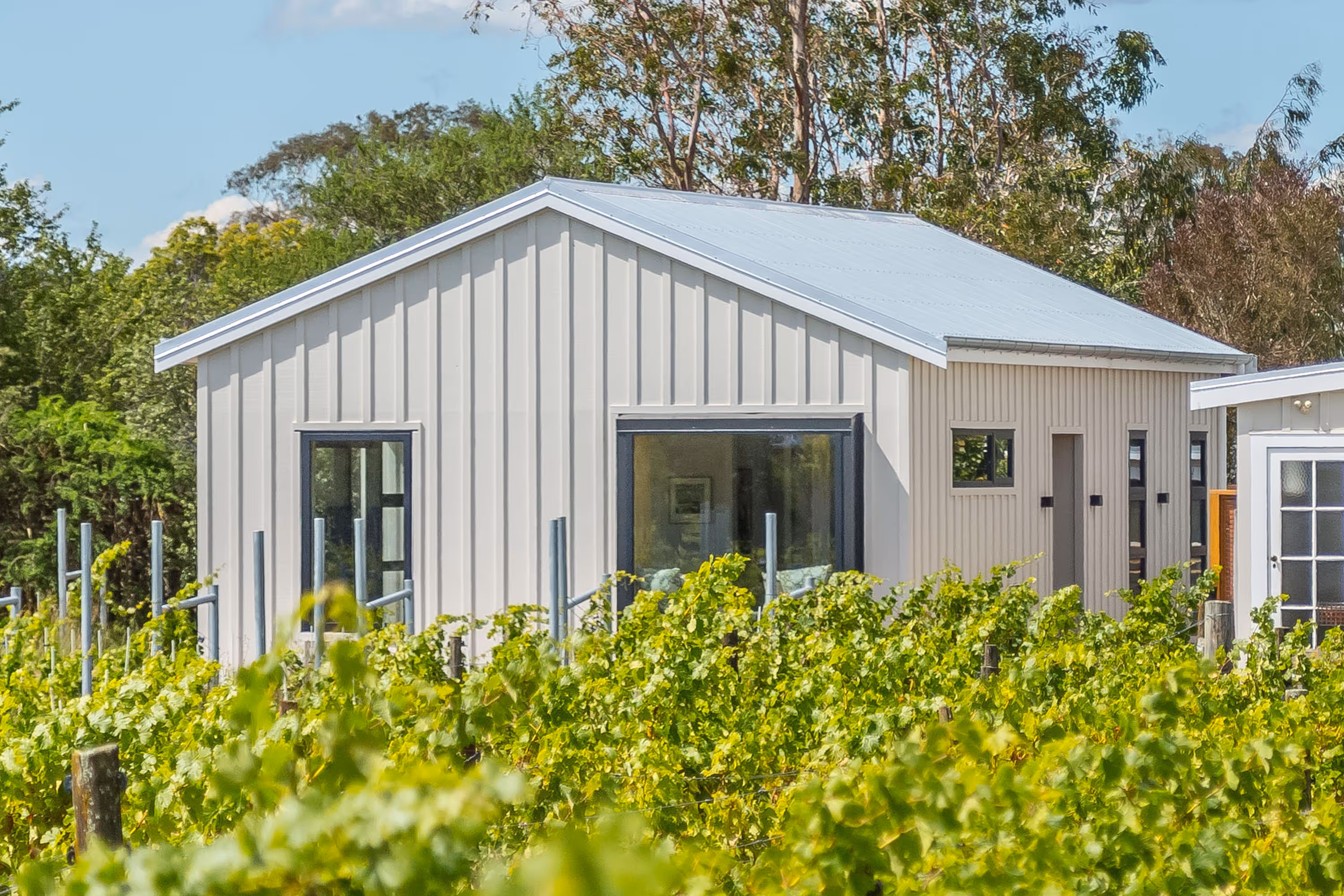Fisher & Clarke house, Martinborough, a modern barn-style home with light grey cladding, large windows, and a surrounding vineyard.