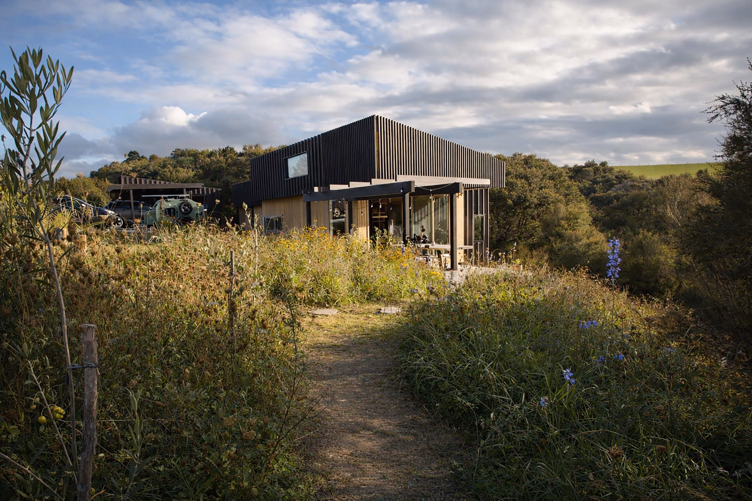 Modern single-story house with black vertical siding and large windows surrounded by dense greenery under a cloudy sky.