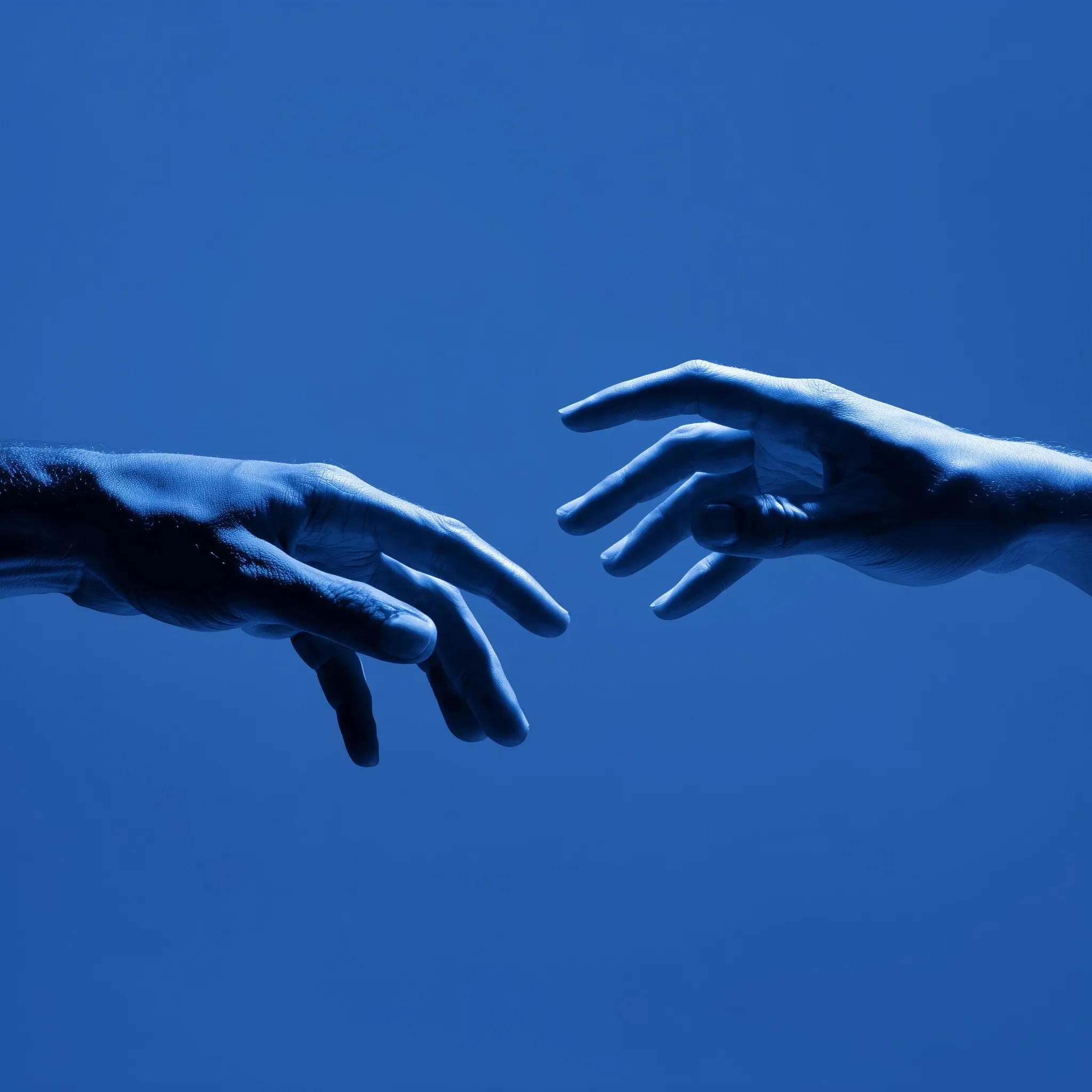 HAND IMAGE