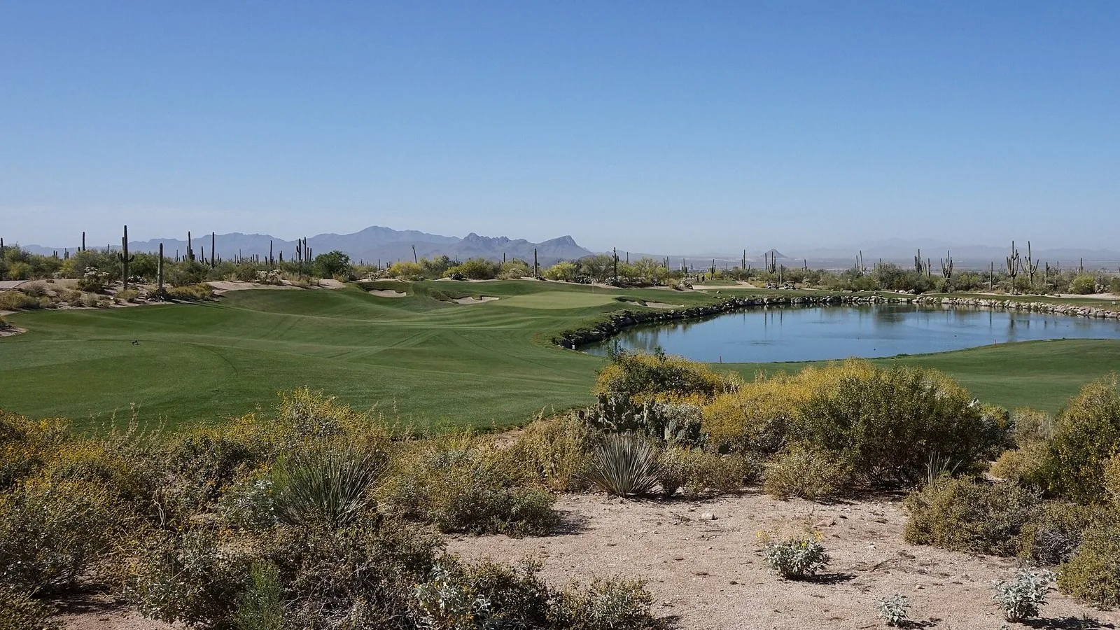 The Golf Club at Dove Mountain (Saguaro) no 3