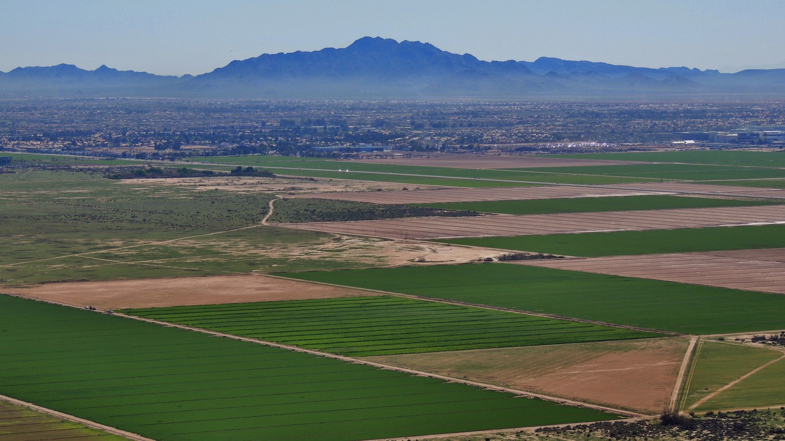 San Tan Mountains beyond agricultural fields in Arizona