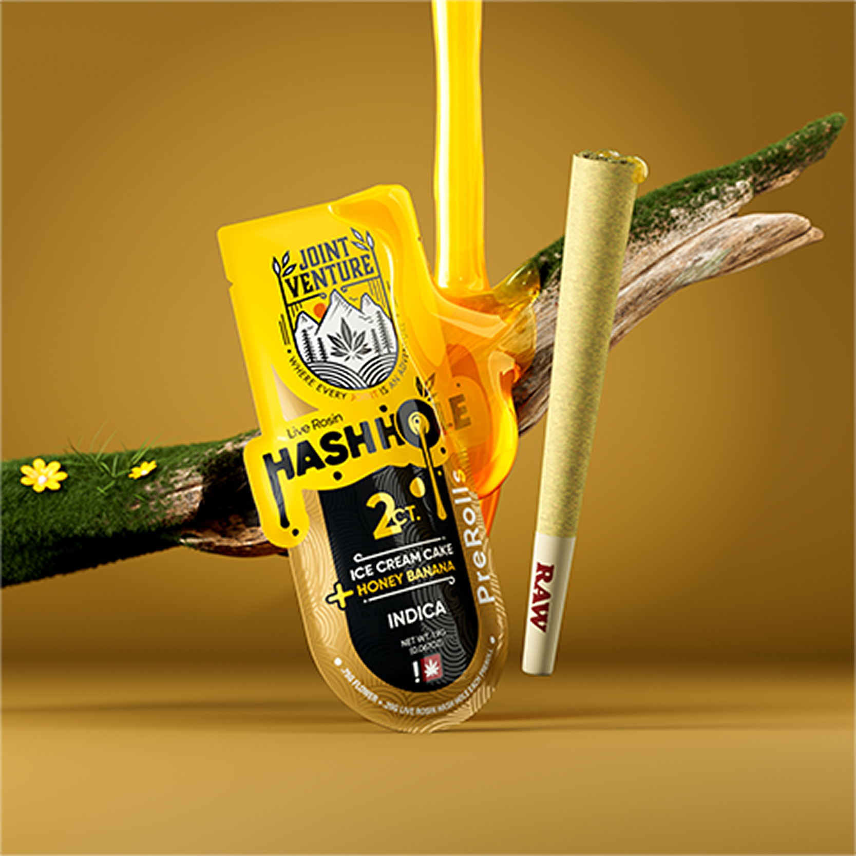 Ice Cream Cake & Honey Banana