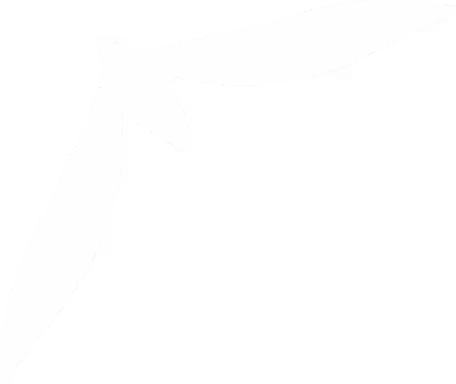 White stylized fly icon with outstretched wings on a transparent background.