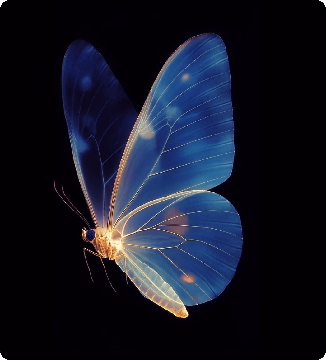Close-up of a glowing blue butterfly with translucent wings on a black background.