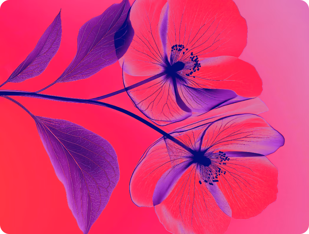 Artistic close-up of two flowers with purple leaves on a vibrant pink background.