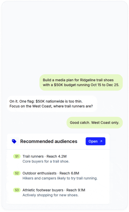 Ellie chat: suggested audiences for the media plan