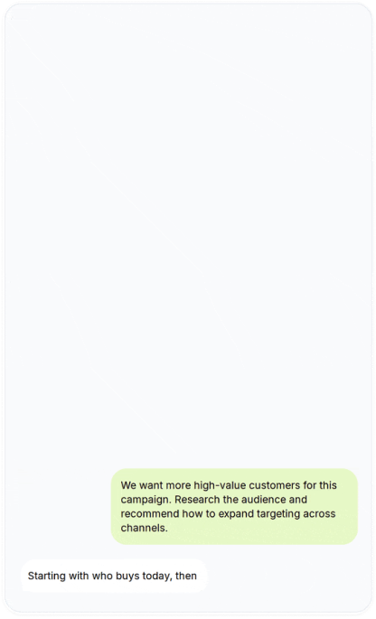 Ellie chat: describing the customer