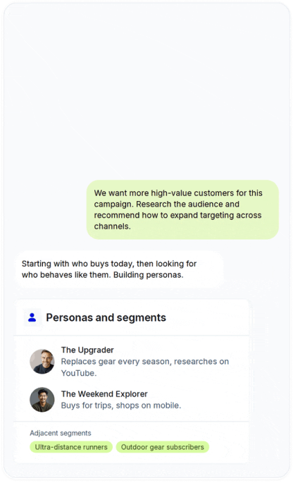 Ellie chat: personas and segments