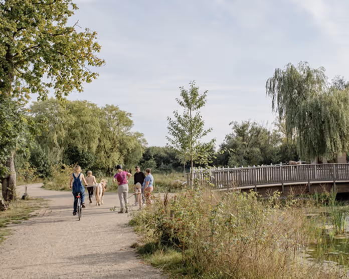 Moderne wandel- en fietsroute in Wilrijk langs houten brug over vijver, omringd door groen en bomen.