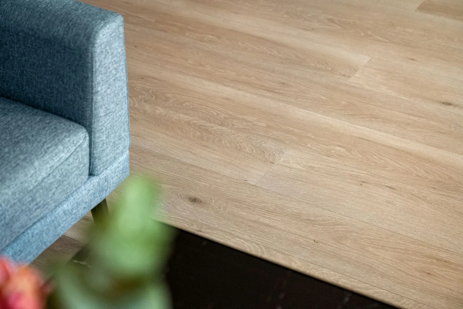 Close-up of a light wood floor next to a blue fabric sofa corner and blurred green plant leaves.