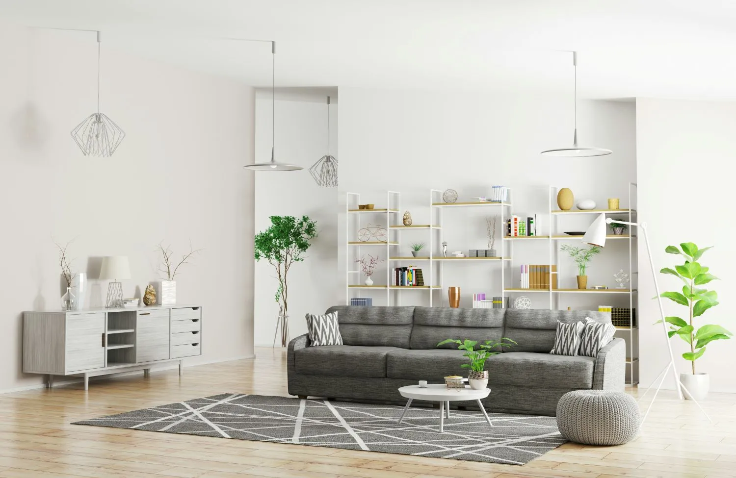 Modern living room with a gray sofa, patterned rug, white shelving with books and decor, and green potted plants.