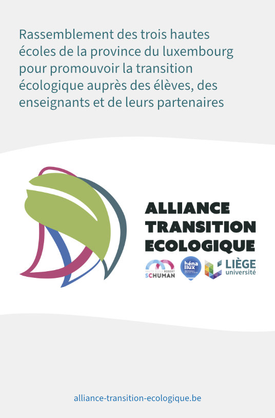 image décorative cas client création de video pour l alliance transition écologique en province du luxembourg
