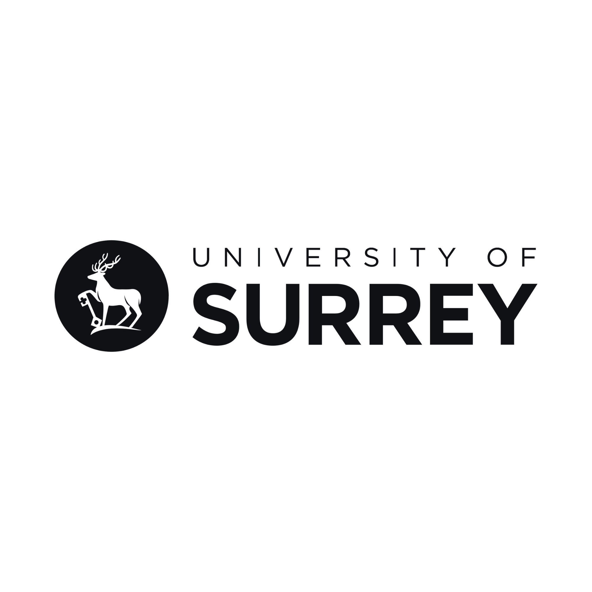 University of Surrey