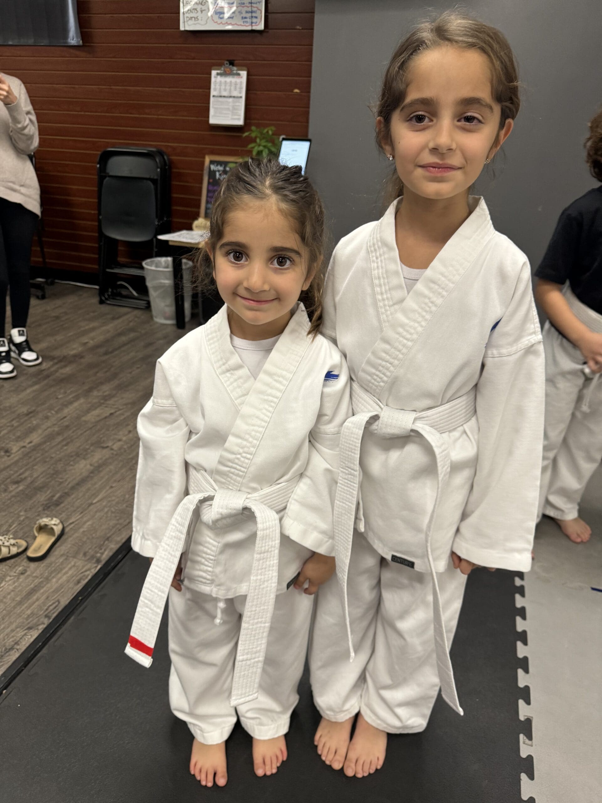 Martial arts training, including karate, significantly contributes to both cognitive development and physical development, enhancing self-defense skills, self-discipline, and self-confidence, which are important values that complement access to education by improving coordination and overall well-being.