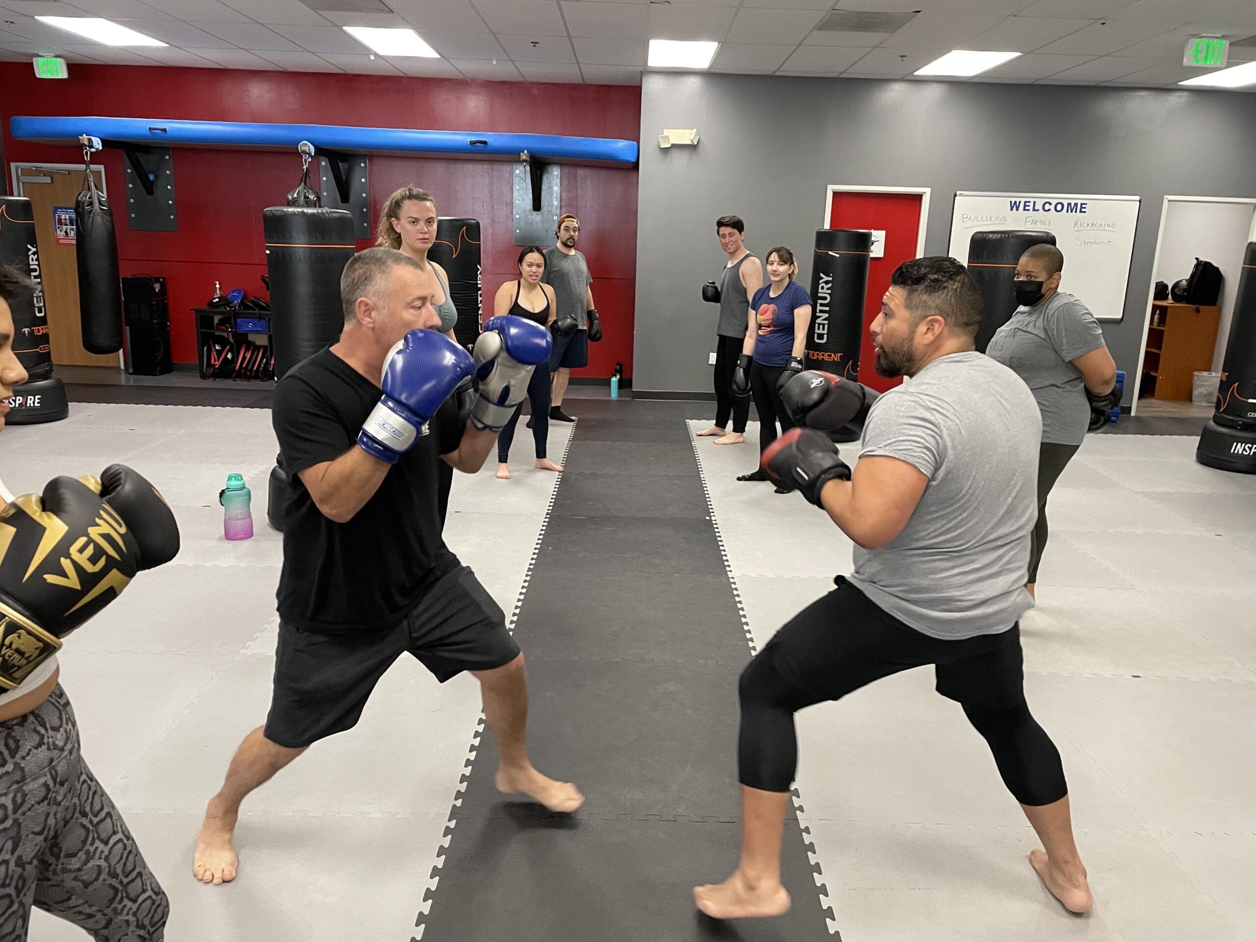 when you take a self defense course, you'll learn how to defend yourself in a fight using joint locks and various punches and kicks